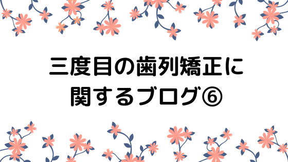 歯列矯正のやり直し】矯正歯科の選び方で重視したポイント  パンダと 